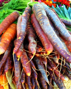 Carrots Blushing Purple